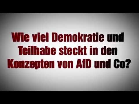 Demokratie für Alle: Wie viel Demokratie und Teilhabe steckt in den Konzepten von AfD und Co?